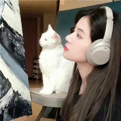 精装追女仔之3狼之一族